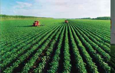 萬旺原生態農產品,萬旺原生態農業