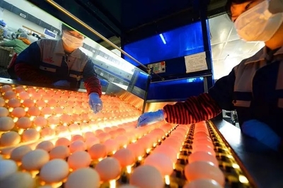 復工啦!這些畫面從未如此激動人心