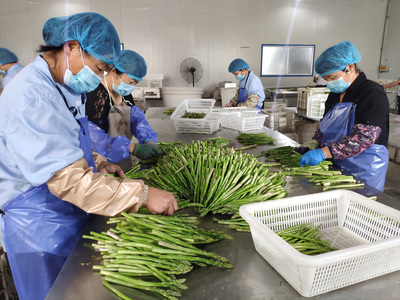 產(chǎn)業(yè)帶動就業(yè)