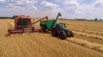 重磅 2019中央農村工作會議部署,事關農業人的未來