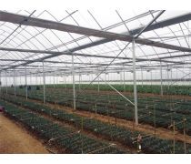 【山東大棚溫室(園藝用具)產品庫】_價格/圖片/廠家 - 園藝用具產品庫 - 貿易中心網手機版