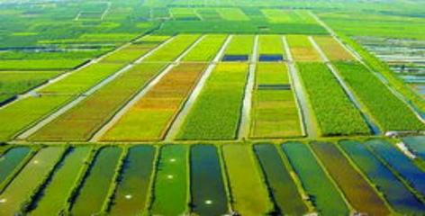 現代化農田建設的要求