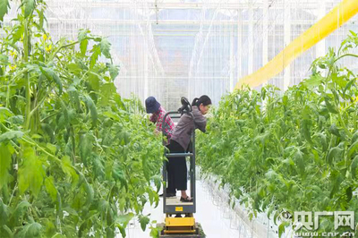 魚菜共生、數(shù)字魚 浙江德清讓農(nóng)業(yè)更智慧