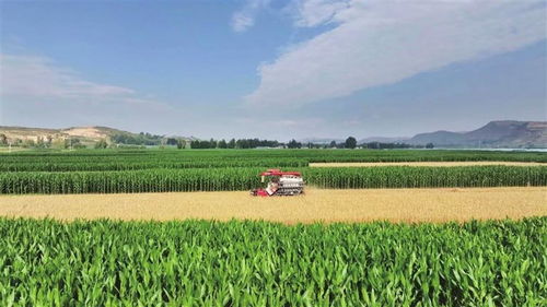 凝心聚力促發(fā)展 砥礪奮進踏新程 渭源縣推進經(jīng)濟社會高質(zhì)量發(fā)展綜述