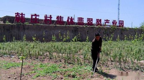 退役不失本色 致富不忘鄉鄰