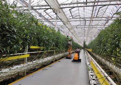 【春耕一線見聞】桐城:數字技術&ldquo;上山下田&rdquo; 農產品&ldquo;出村進城&rdquo;