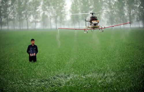 智慧農(nóng)業(yè)時代,無人機成為新農(nóng)人標配