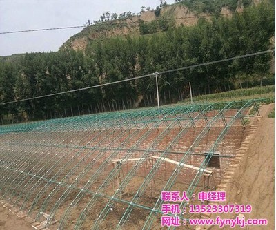 安陽豐源農業與廣安鋼結構大棚建設 現代農業的堅實支柱