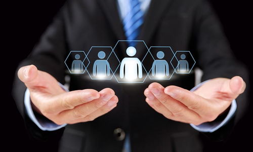 濟南學華教育與淘學培訓 教育咨詢服務的深度解析